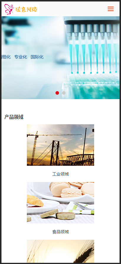 （自适应手机版）响应式精细化工化学类织梦模板源码