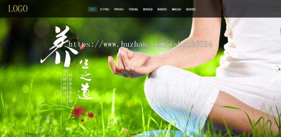 响应式经络养生健康类网站模板-企业站-qyz224