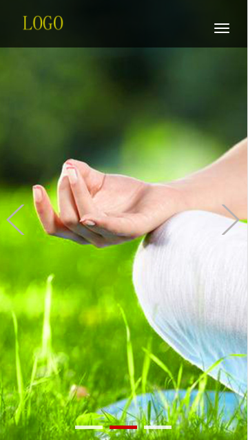 响应式经络养生健康类网站模板-企业站-qyz224