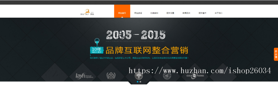 互联网品牌营销网络设计网站模板-企业站-qyz83