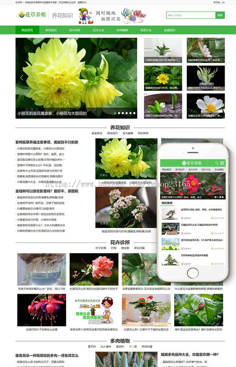 DEDECMS_花百科花草花卉养殖新闻资讯类织梦模板（带手机端）
