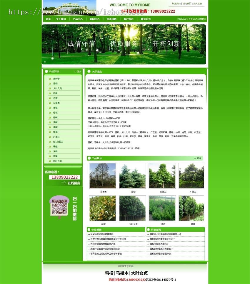 雪松_大叶女贞_马褂木-雪松绿化苗木价格网网站源码