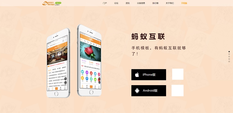 discuz整站程序地方门户分类信息城市社区多配色生活信息分类dzx 