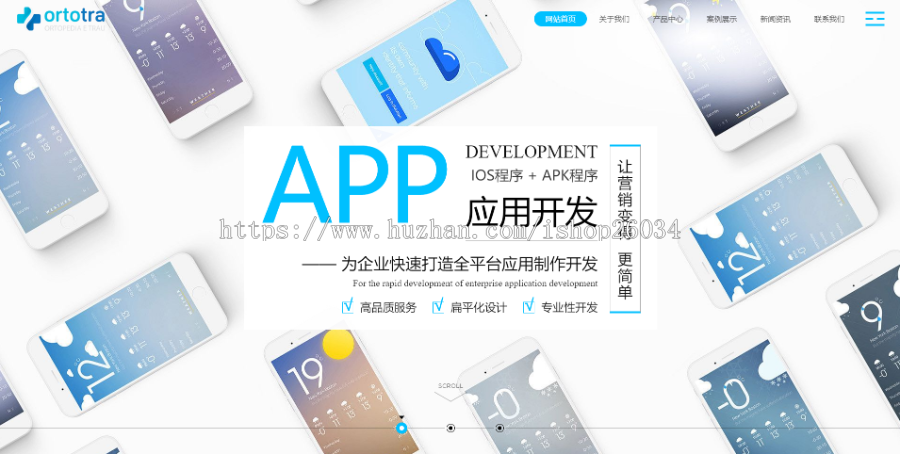 响应式互联网技术APP应用开发类模板-企业站-qyz145