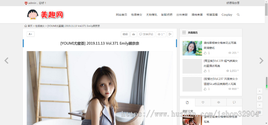 WordPress主题知更鸟MM图片自动采集站源码 