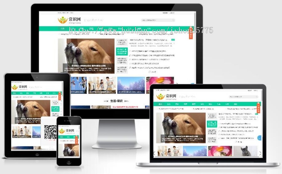 自媒体新闻资讯门户网站源码 响应式模板带手机版