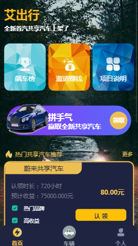 共享汽车/众筹项目/街电共享充电宝/挂机/云海广告云点/挖矿/点赞投资