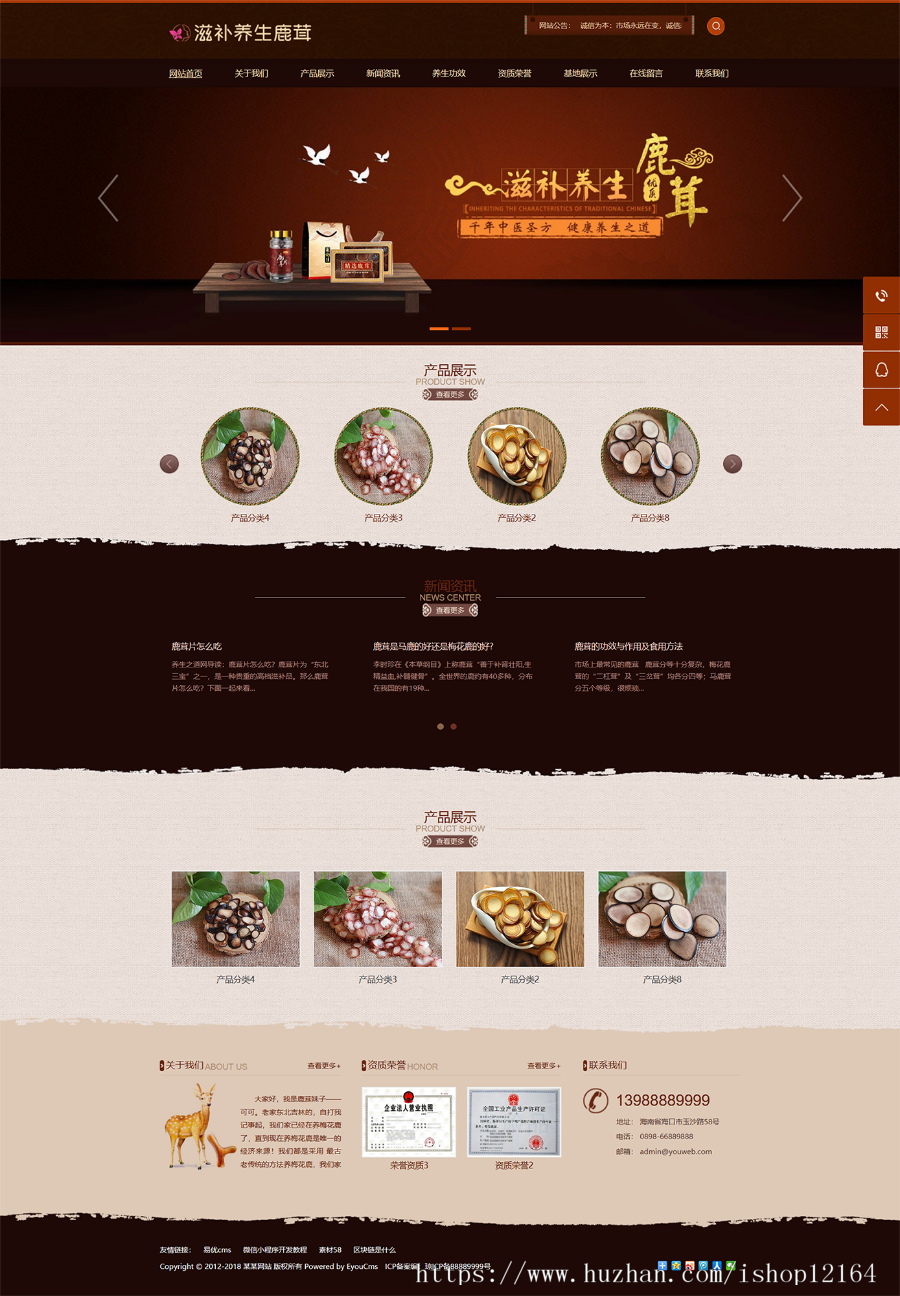 养身药业公司网站模板源码带手机版