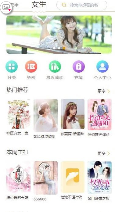掌上阅读 小说、漫画源码 支持公众号、APP打包 加盟商分站、代理扣量