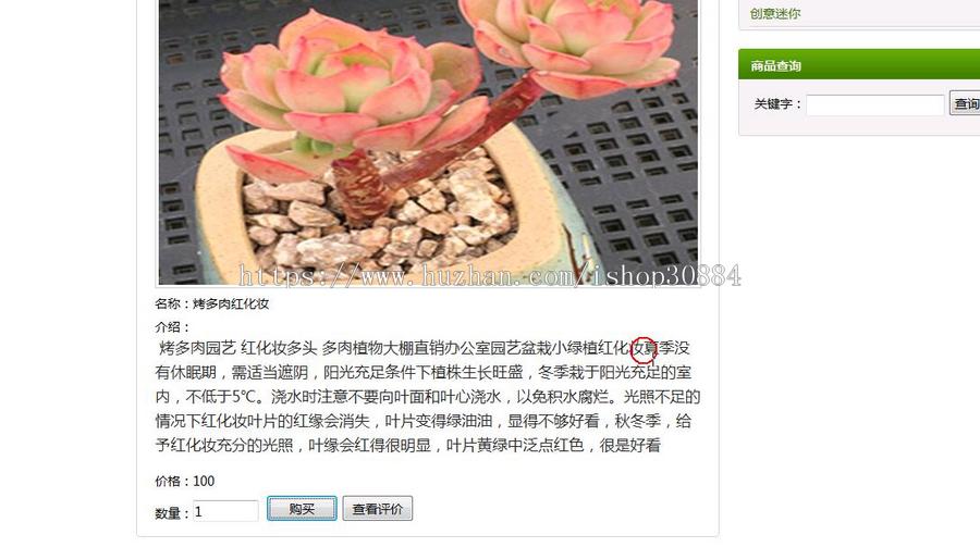 JAVA JSP多肉植物销售系统 盆景盆栽购物销售系统-毕业设计 课程设计