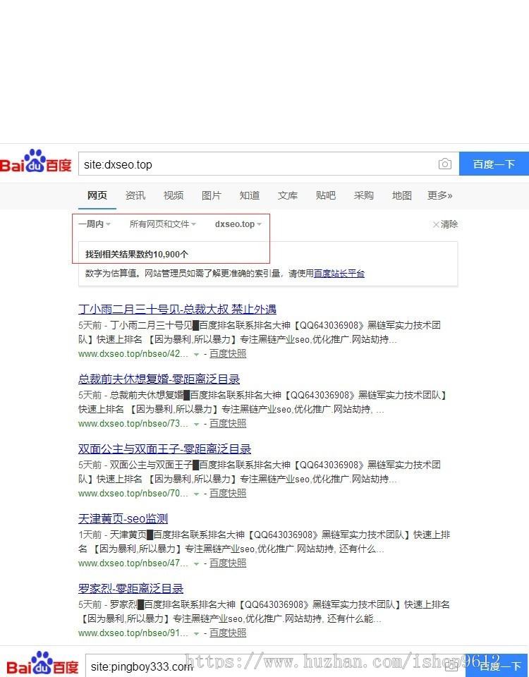 2020新版正版零距离泛目录泛程序带教程推送工具满血复活