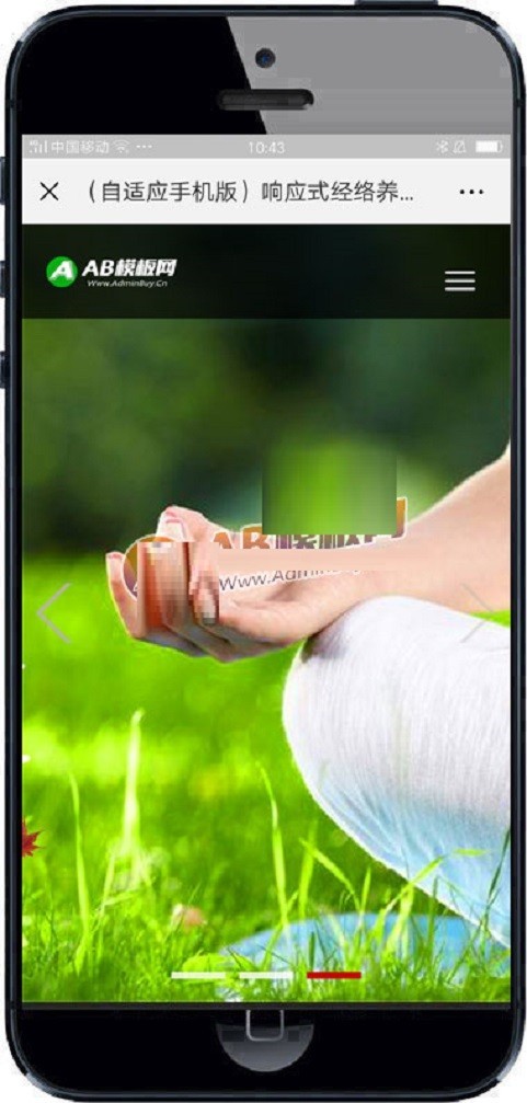 响应式经络养生健康类网站织梦模板 HTML5养生会所机构网站源码带手机版