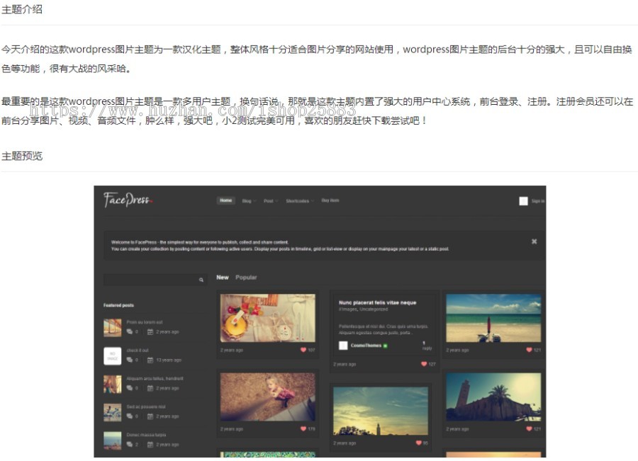wordpress图片主题:宽屏大气的图片主题