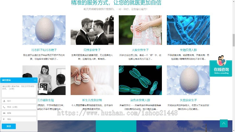 一个专注海外试管婴儿网站 医院网站 美容机构网站 支持SEM和SEO优化