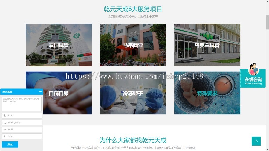 一个专注海外试管婴儿网站 医院网站 美容机构网站 支持SEM和SEO优化