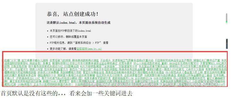 站群专用 站群泛站程序，SEO优化，只要你去做就会有流量权重 非独立站 