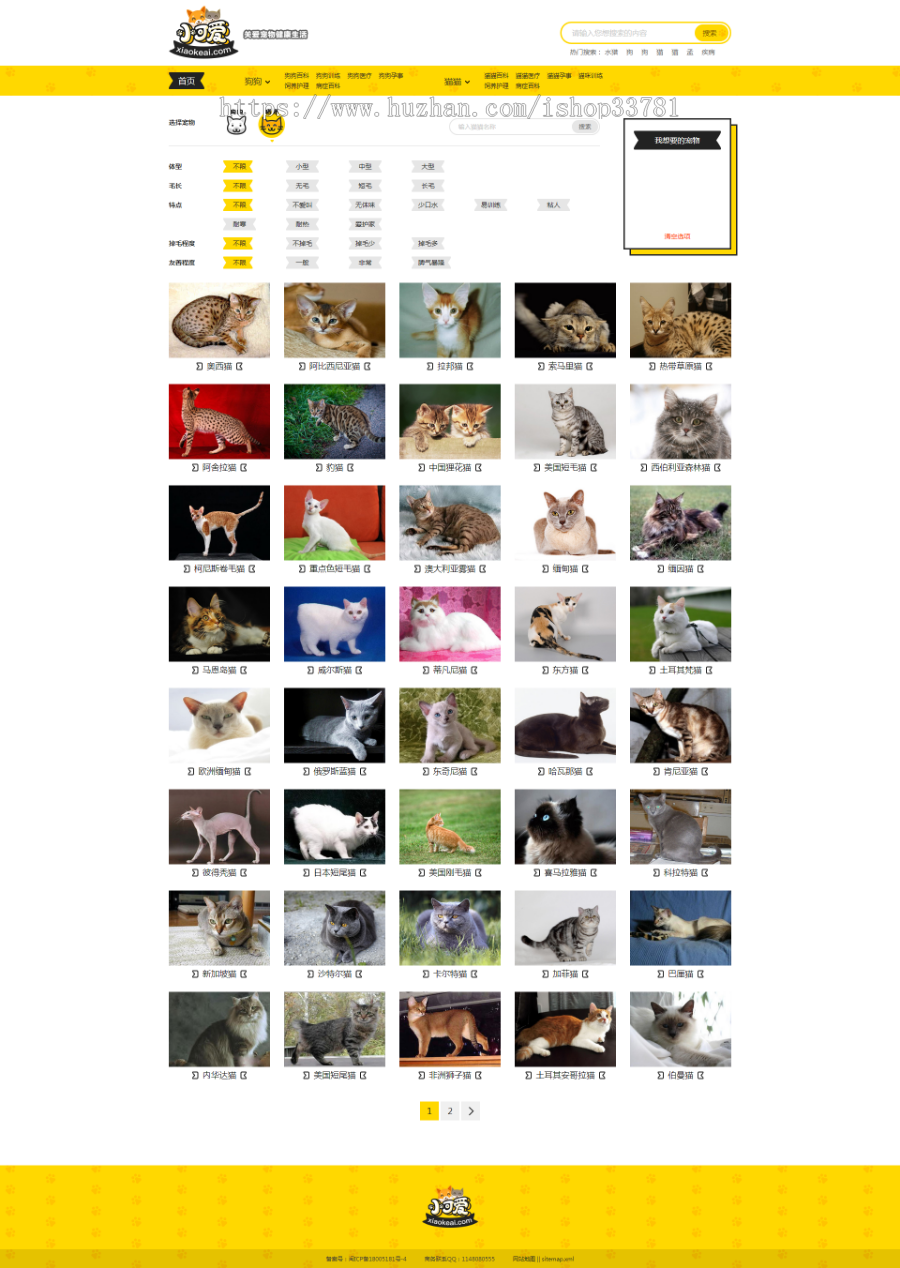 仿小可爱宠物网源码宠物狗狗猫猫品种资讯训练网站模板有手机版带采集