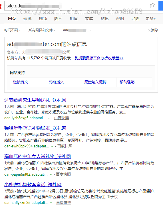 零距离泛站群二开版本支持mip送推送软件