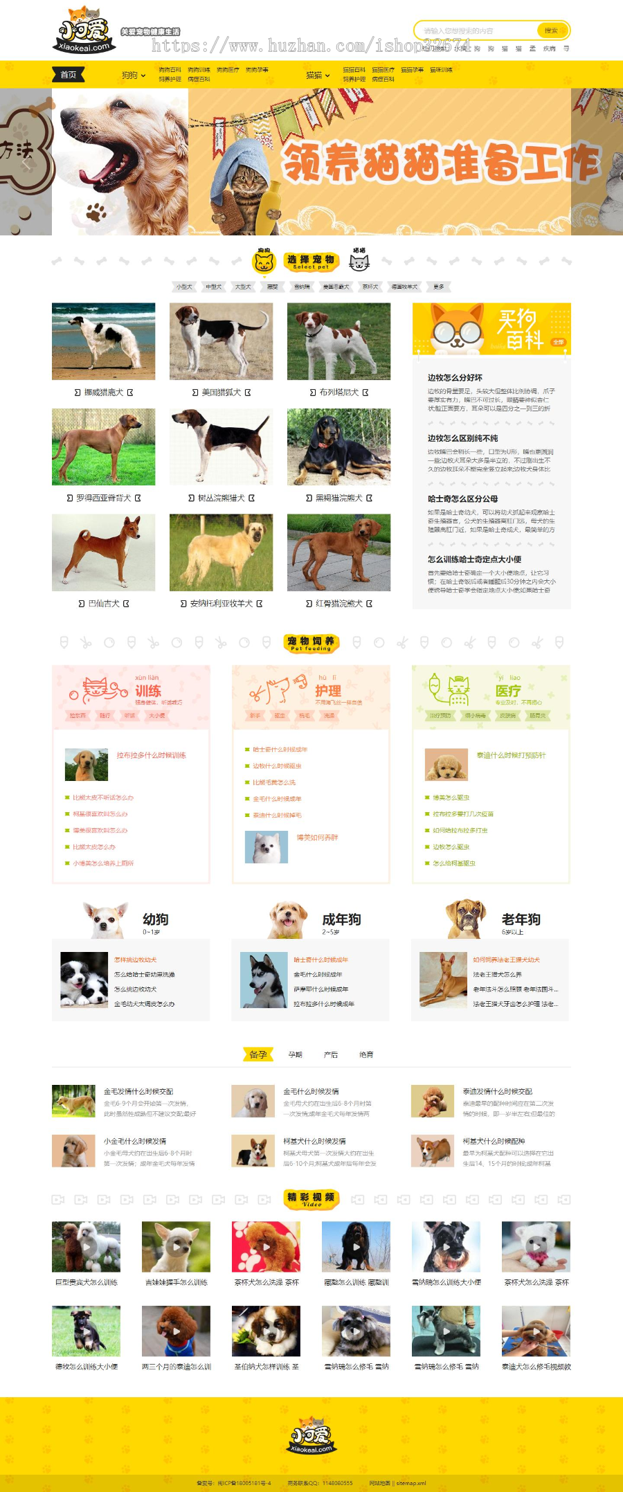 帝国cms仿《小可爱宠物网》宠物源码简洁大气带手机同步+采集+多款SEO辅助插件 