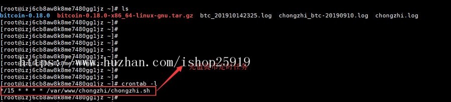 BTC钱包自动充值提币接口php