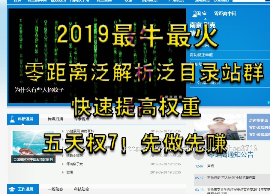 零距离泛目录程序开源无限制2019二开版，最强泛解析站群