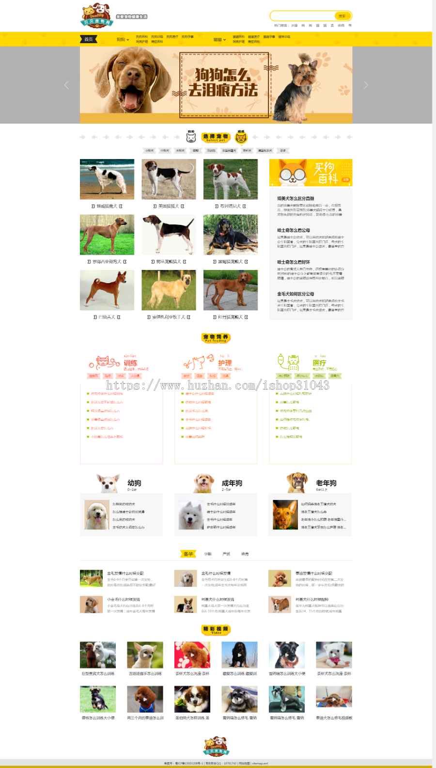 《小可爱宠物网》宠物模板，来自帝国防宠物源码简洁大气带手机同步插件和采集
