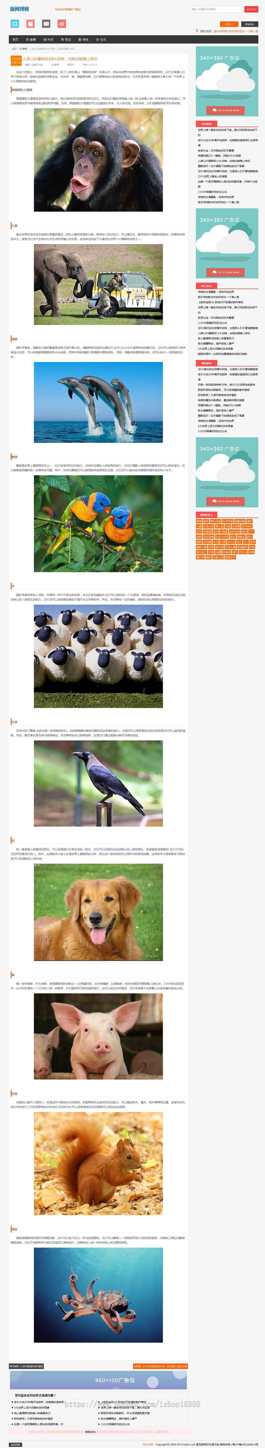 宽屏HTML5响应式织梦文章模板大气 自适应移动设备整站源码带数