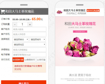 PHP订单系统【高级版】阿狸子竞价单页网站,微商竞价订单系统