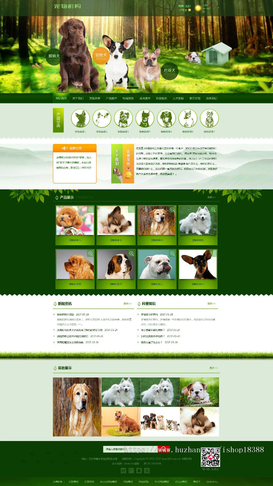 绿色宠物狗机构类网站织梦模板（带手机端）