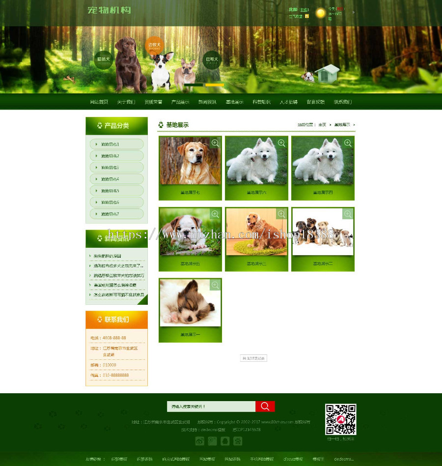 绿色宠物狗机构类网站织梦模板（带手机端）