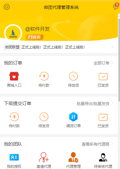 微商系统，代理系统，微商团联盟系统