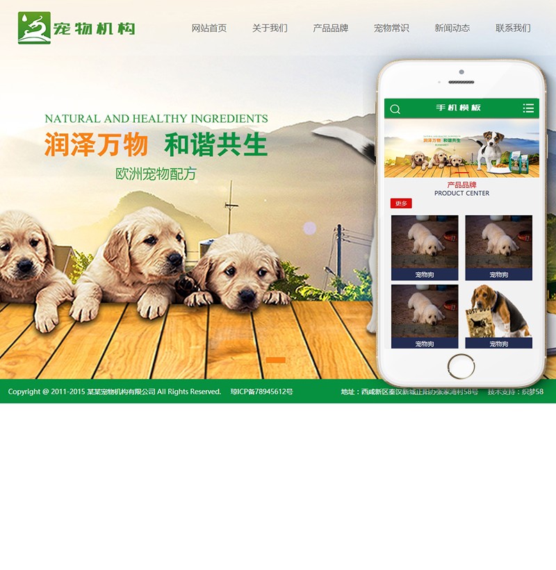宠物动物机构类网站织梦模板（带手机端）