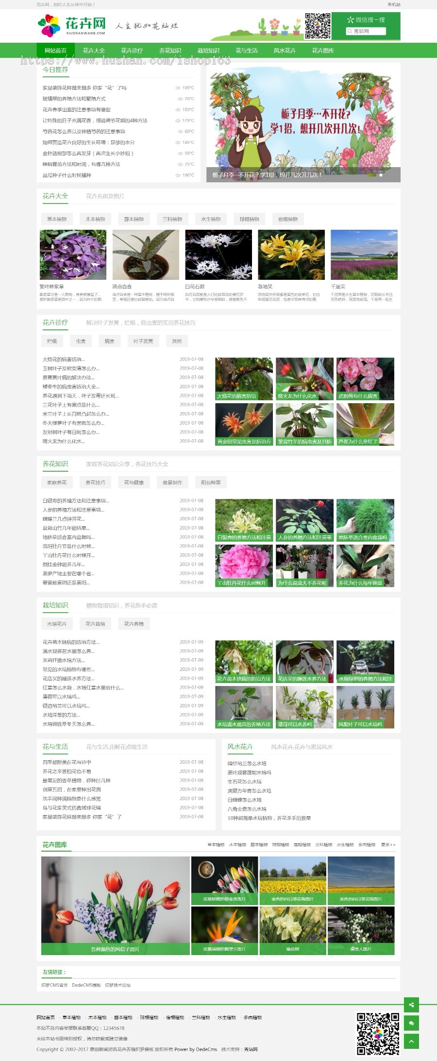原创花卉养殖新闻资讯织梦源码（带手机站）