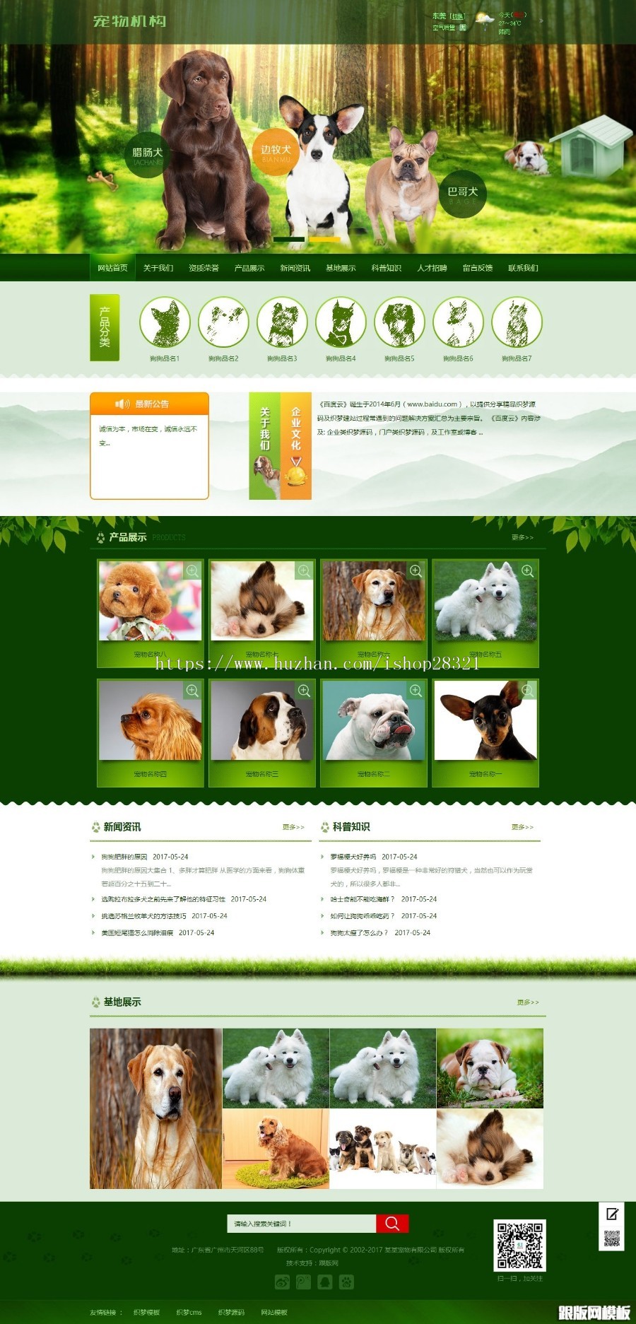 绿色宠物狗机构类网站织梦模板（带手机端）