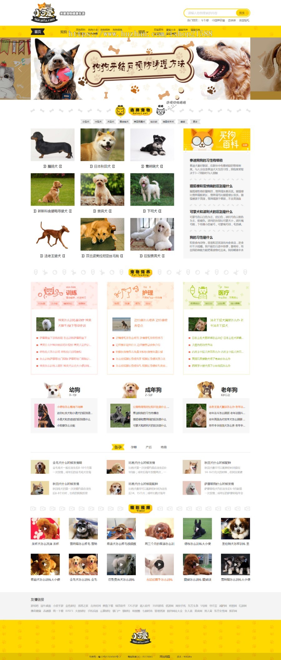 帝国CMS仿《小可爱宠物网》宠物资讯平台网站源码完整版+采集+手机版【1478】