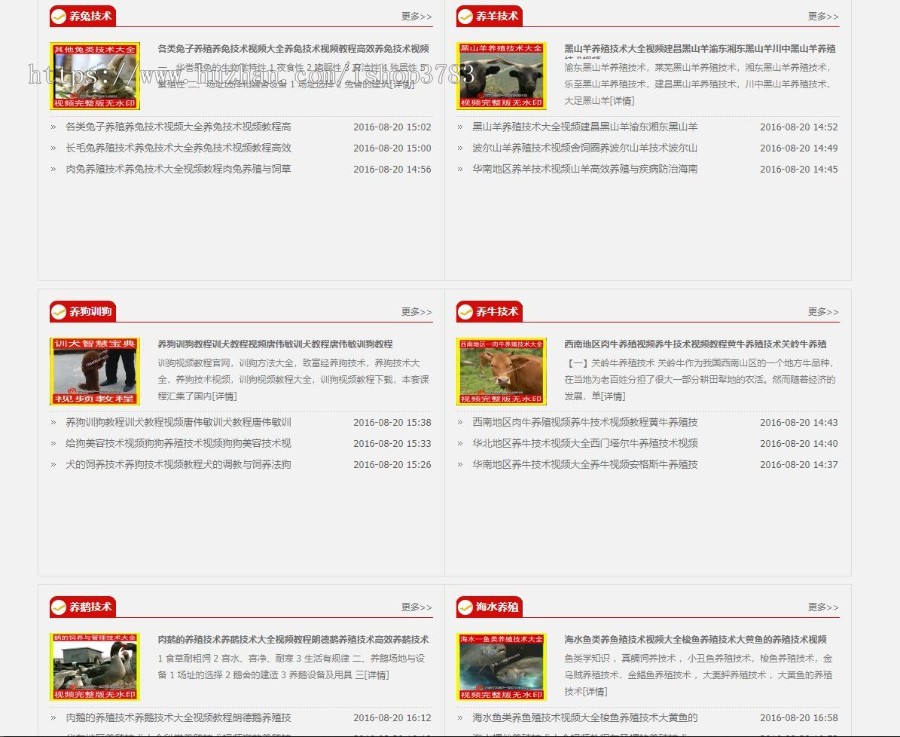 沙棘直销进人系统源码-自动营销系统-四站合一-带支付宝微信支付