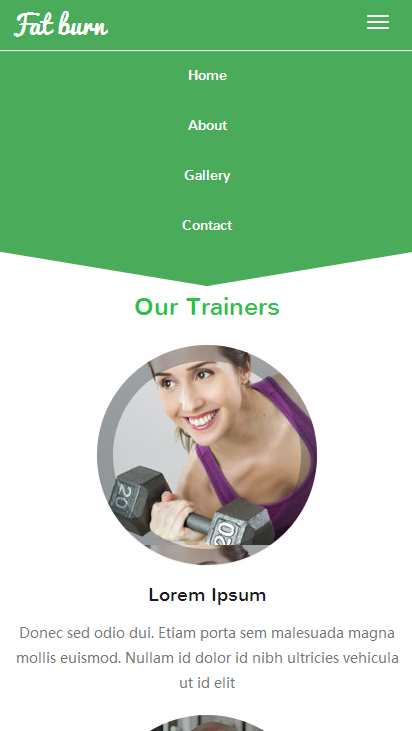 HTML5+CSS3网站炫酷模板+纯静态页面+PC移动端自适应