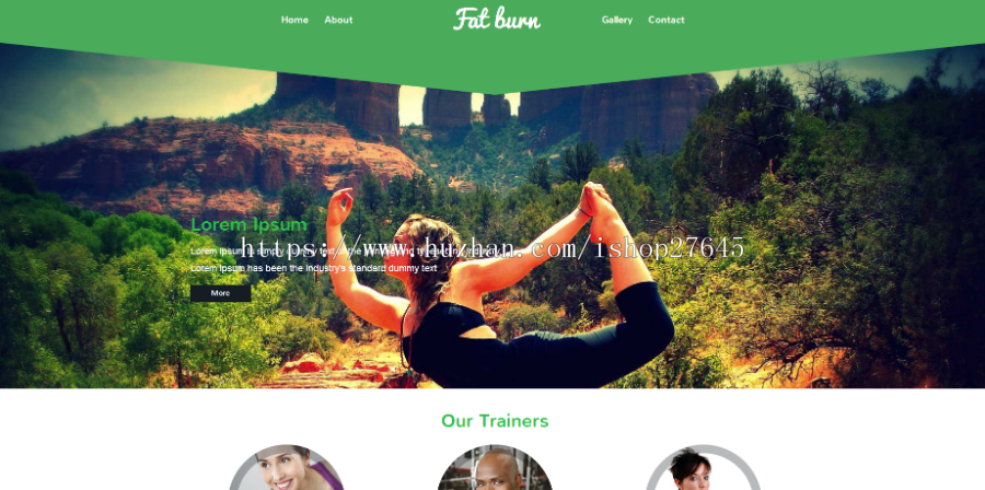 HTML5+CSS3网站炫酷模板+纯静态页面+PC移动端自适应