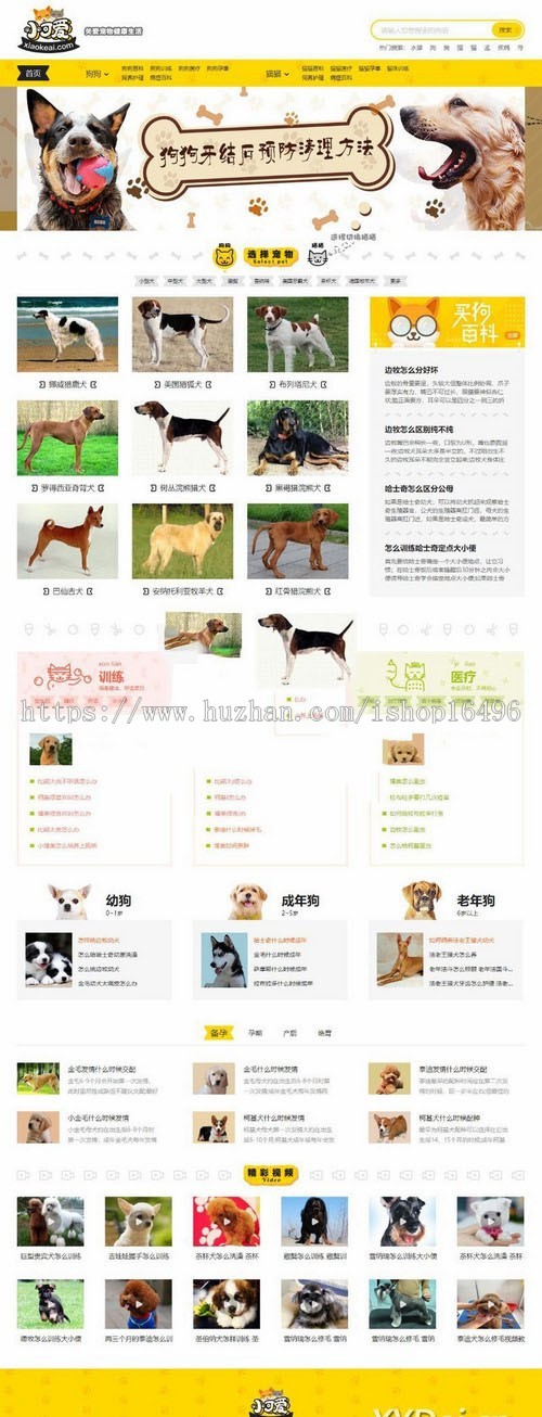 帝国CMS内核仿《小可爱宠物网》宠物资讯平台网站源码完整版+采集风格独特界面漂