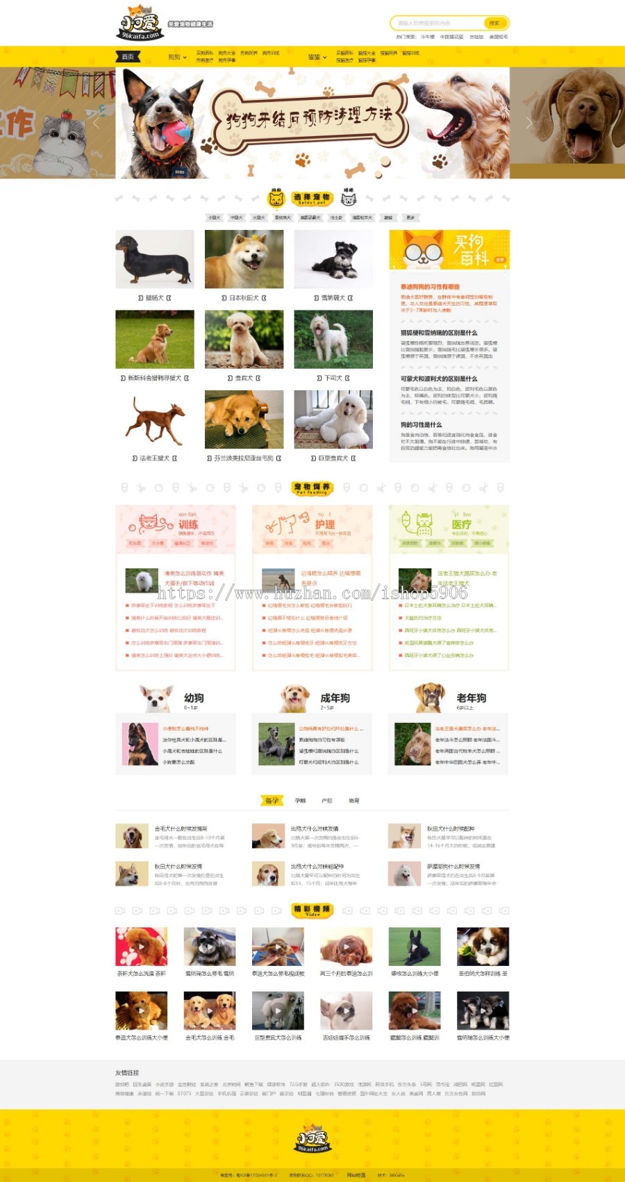 帝国cms 7.5仿《小可爱宠物网》完整版源码下载+采集+手机版 专业宠物资讯平台源码