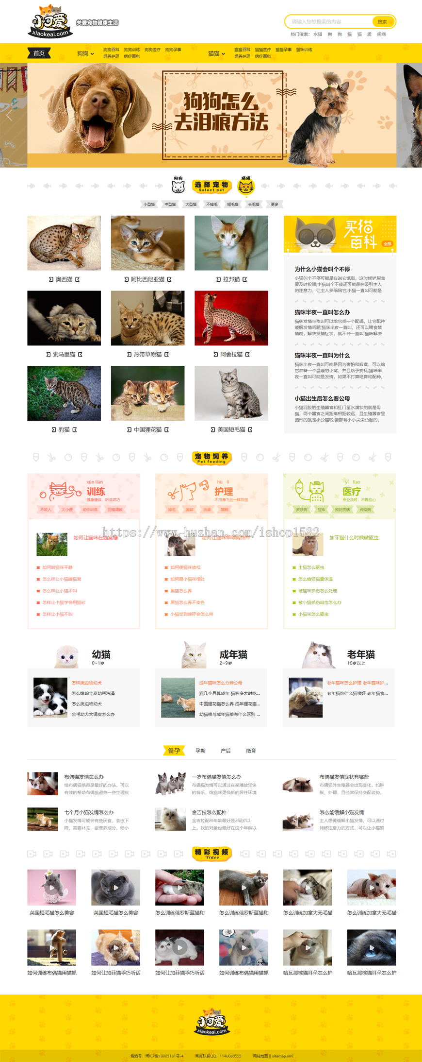 帝国CMS内核仿《小可爱宠物网》宠物资讯平台网站源码完整版+采集+手机版