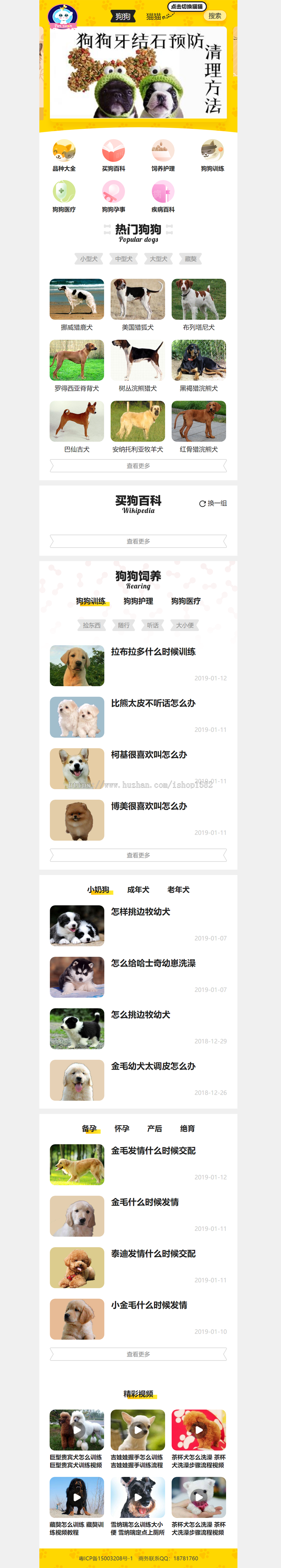 帝国CMS内核仿《小可爱宠物网》宠物资讯平台网站源码完整版+采集+手机版