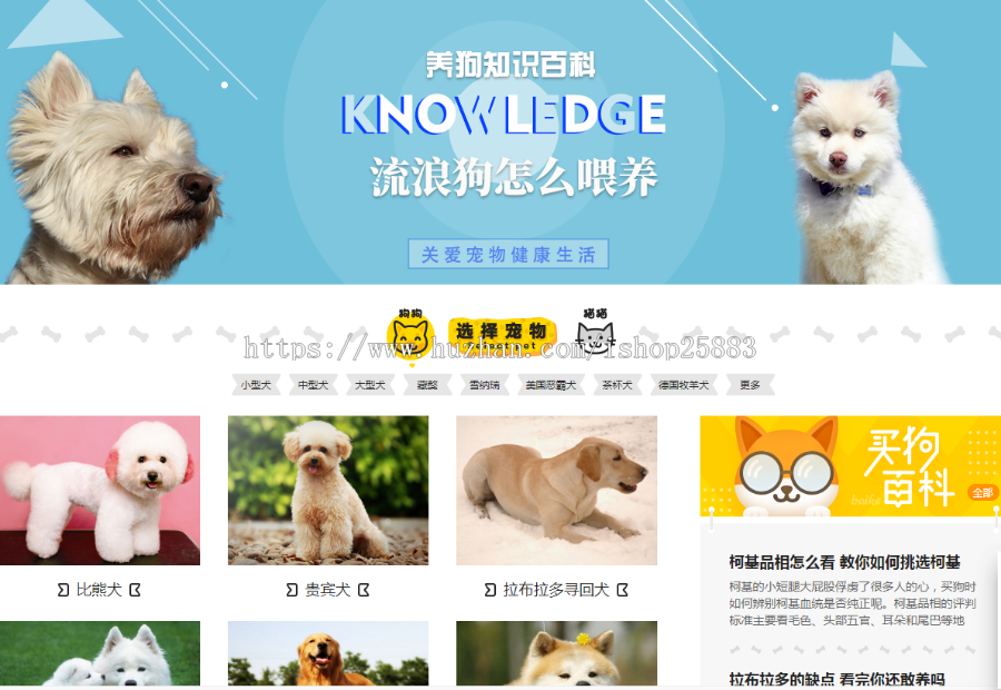 96kaifa仿《小可爱宠物网》完整版源码下载+采集+手机版 专业宠物资讯平台源码