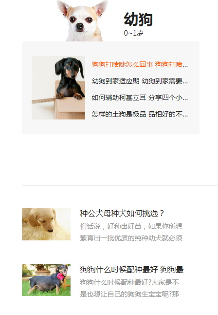 96kaifa仿《小可爱宠物网》完整版源码下载+采集+手机版 专业宠物资讯平台源码