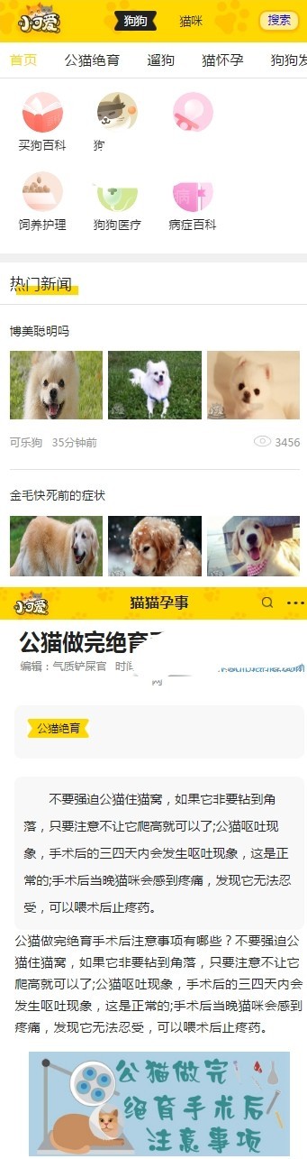 96kaifa仿《小可爱宠物网》完整版源码下载+采集+手机版 专业宠物资讯平台源码