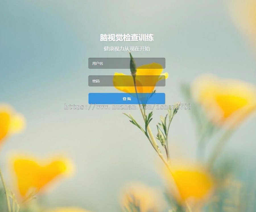 脑视觉检查训练系统源码，脑视觉检查训练源码完美运营