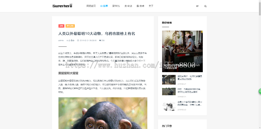thinkphp5 PC+WAP源码 响应式简洁自媒体博客主题模板 一键安装 