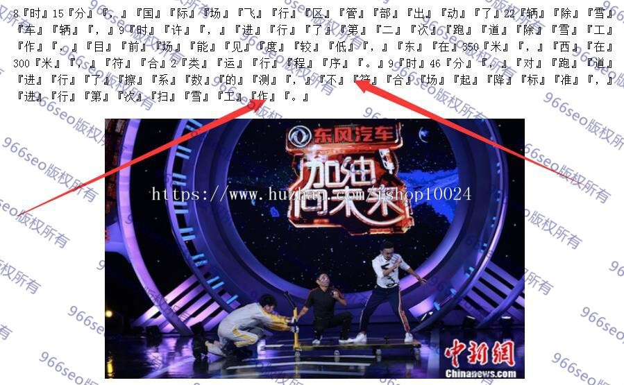 VG系列966SEO动态寄生虫/泛目录/站群/蜘蛛池-超级变种动静结合括号版-收录超级骚