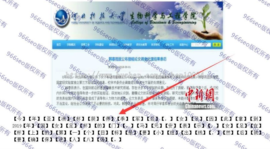 VG系列966SEO动态寄生虫/泛目录/站群/蜘蛛池-超级变种动静结合括号版-收录超级骚