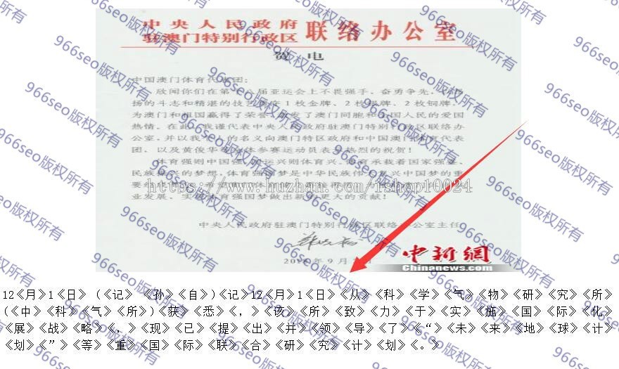 VG系列966SEO动态寄生虫/泛目录/站群/蜘蛛池-超级变种动静结合括号版-收录超级骚